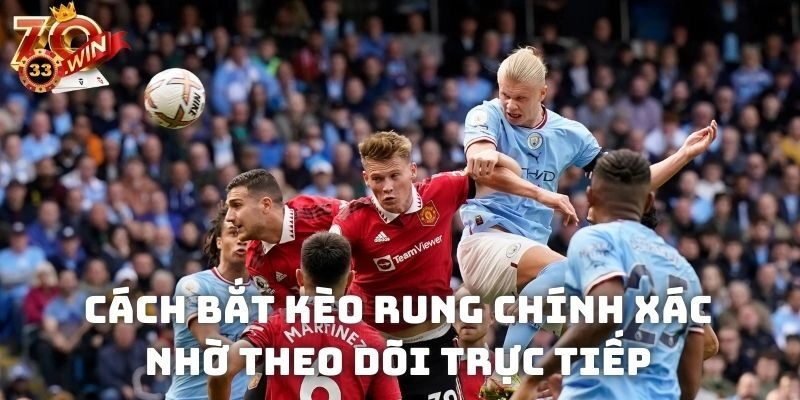 Cách bắt kèo rung chính xác nhờ theo dõi trực tiếp