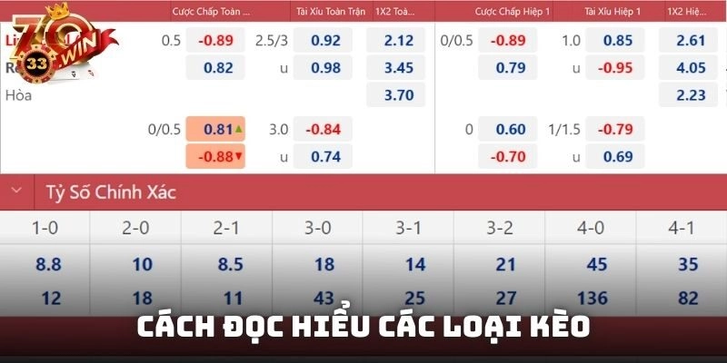 Hướng dẫn cá cược thể thao qua cách đọc hiểu các loại kèo