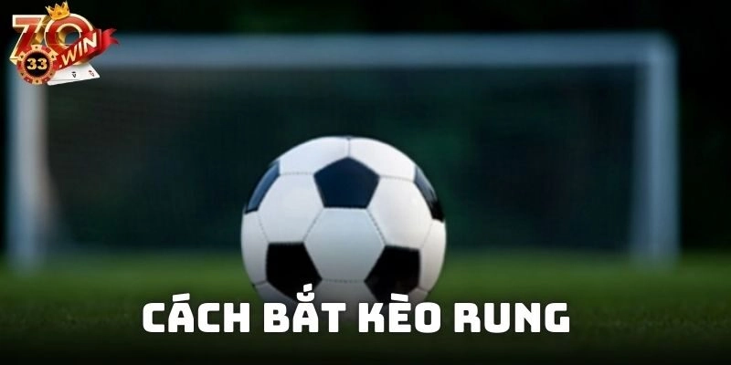 Cách Bắt Kèo Rung Chính Xác Làm Chủ Mọi Trận Đấu Bóng Đá