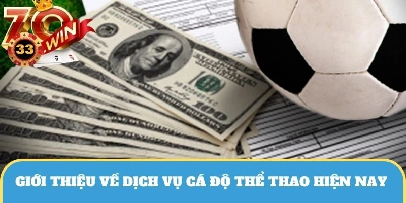 Giới thiệu sơ lược về dịch vụ cá độ thể thao
